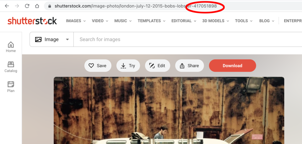 Shutterstock image ID is found in the URL